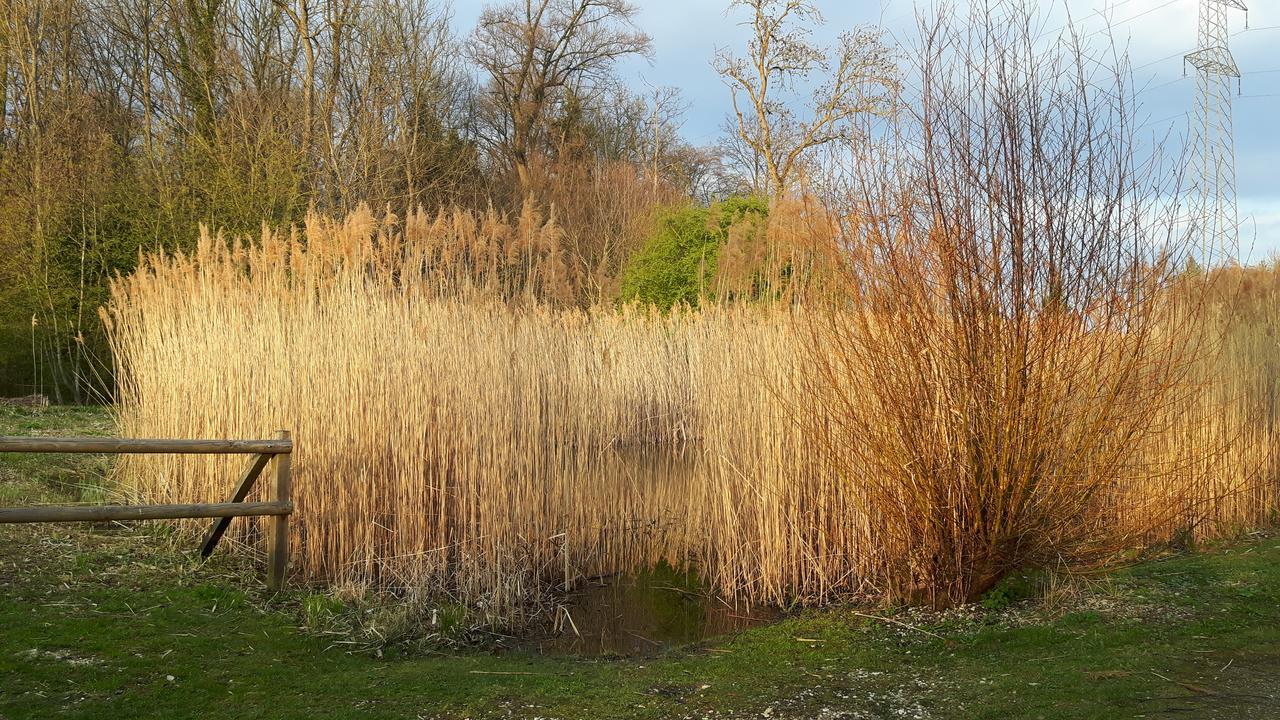 Mybednbreakfast In Bottmingen Bed & Breakfast ภายนอก รูปภาพ