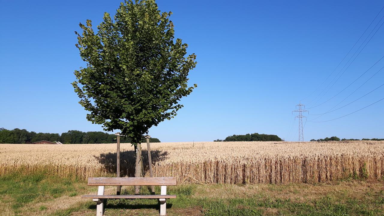 Mybednbreakfast In Bottmingen Bed & Breakfast ภายนอก รูปภาพ
