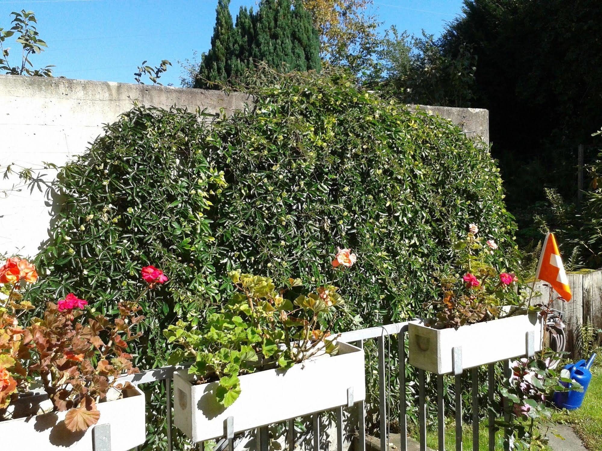 Mybednbreakfast In Bottmingen Bed & Breakfast ภายนอก รูปภาพ