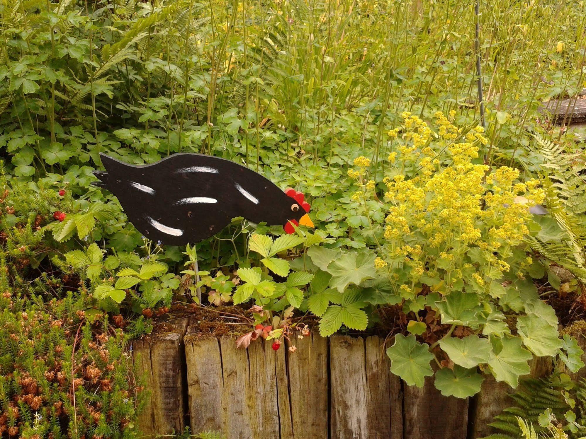Mybednbreakfast In Bottmingen Bed & Breakfast ภายนอก รูปภาพ