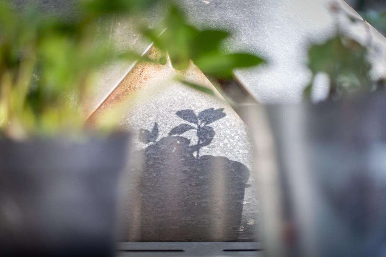 Mybednbreakfast In Bottmingen Bed & Breakfast ภายนอก รูปภาพ