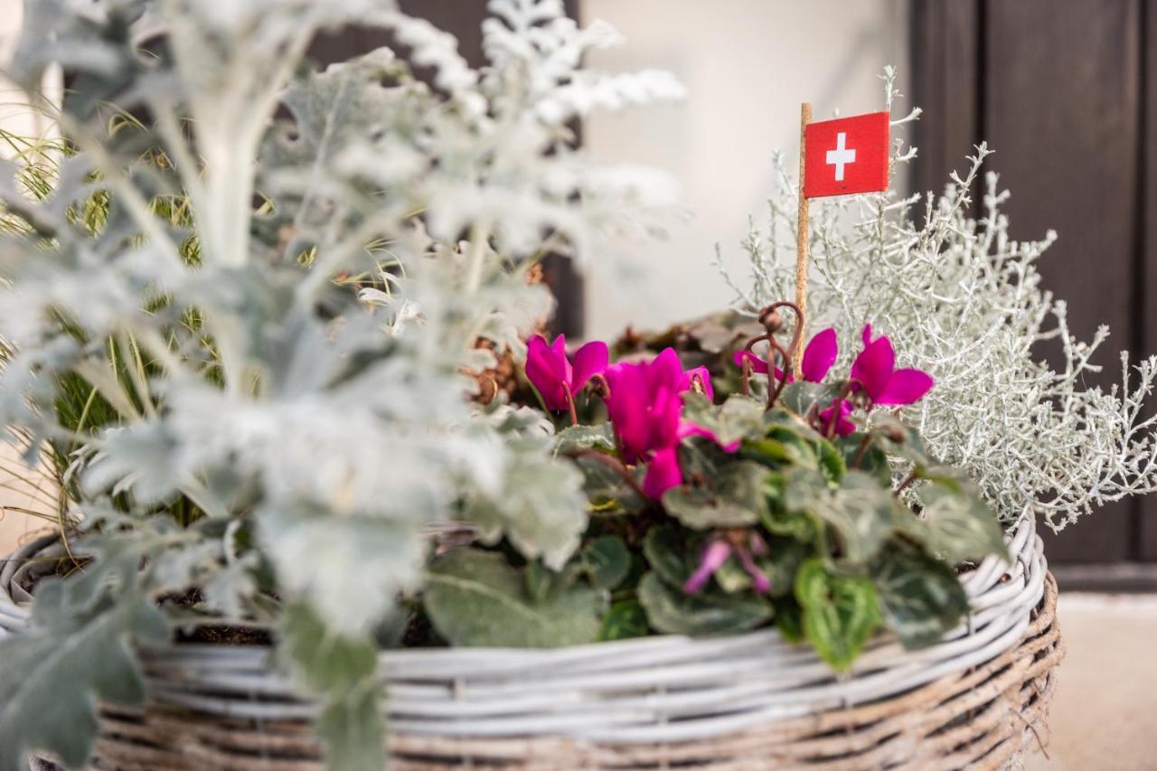 Mybednbreakfast In Bottmingen Bed & Breakfast ภายนอก รูปภาพ