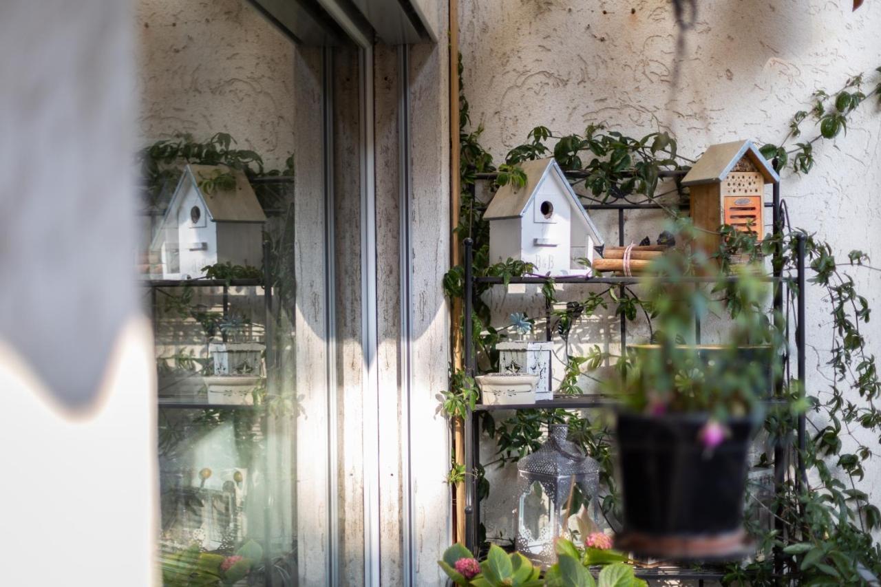 Mybednbreakfast In Bottmingen Bed & Breakfast ภายนอก รูปภาพ